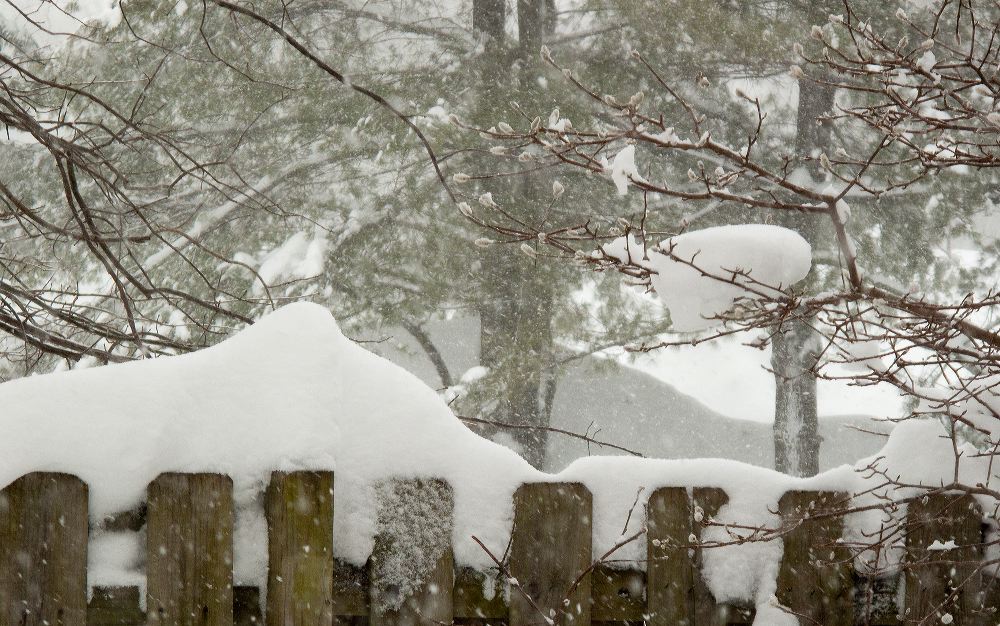 snow1915.jpg