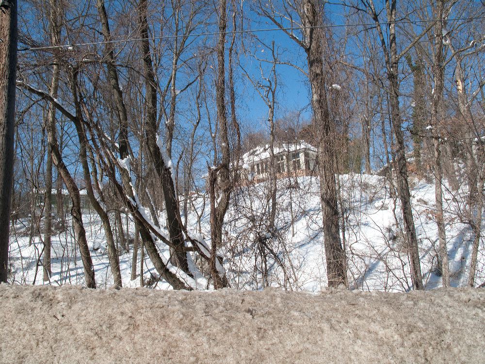 snow1929.jpg