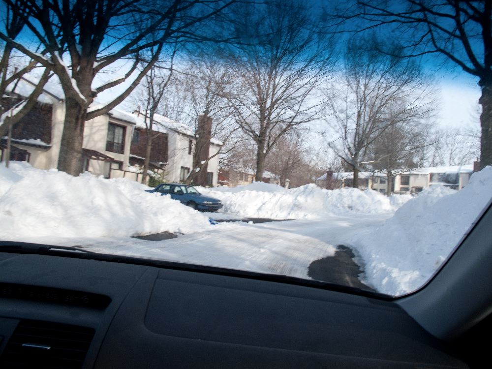 snow1955.jpg