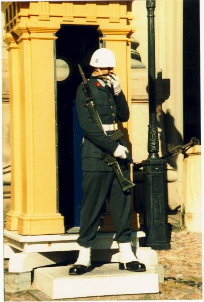 stockholmpalaceguard.jpg