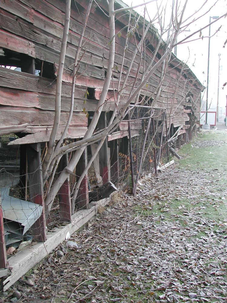 dscn1864.jpg