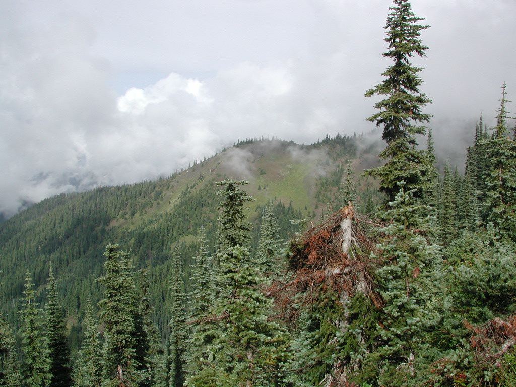 dscn1321.jpg