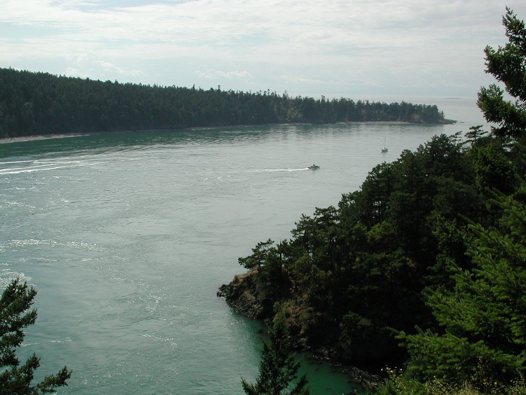 dscn1377.jpg