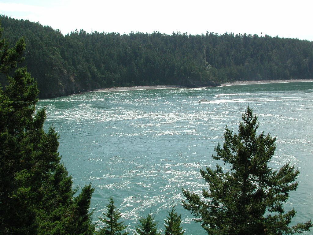 dscn1379.jpg