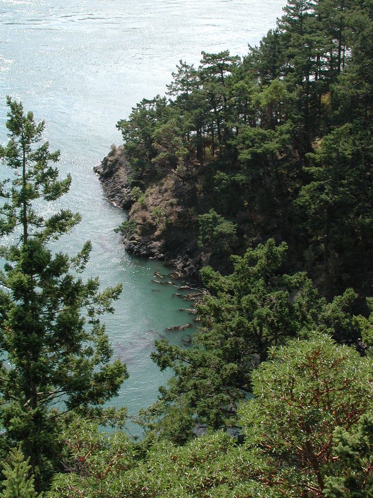 dscn1381.jpg